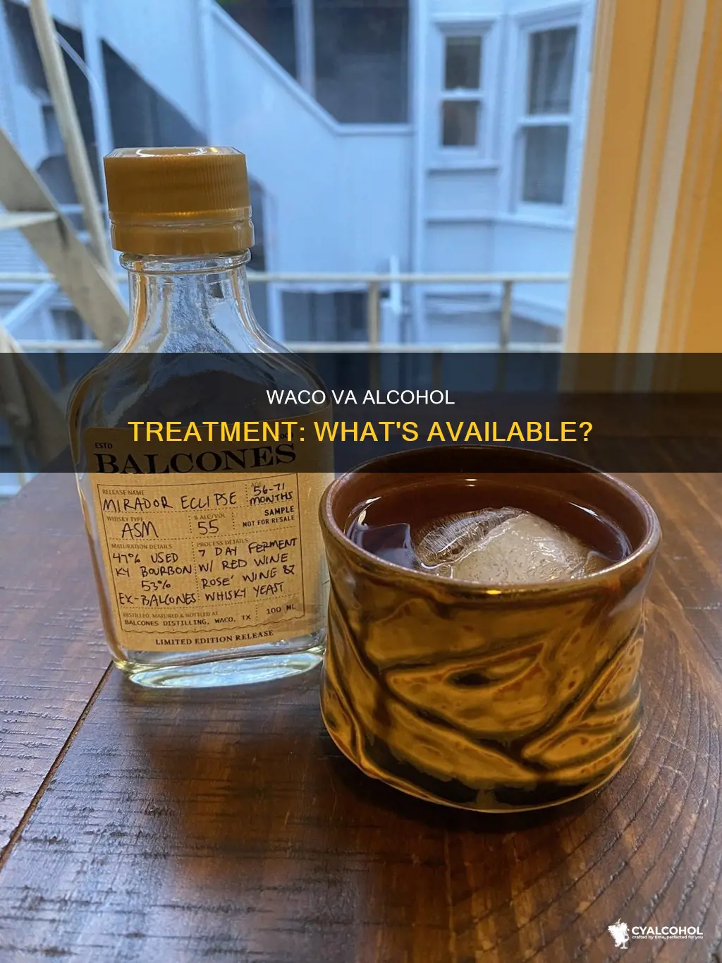 does the waco va have a program for alcohol
