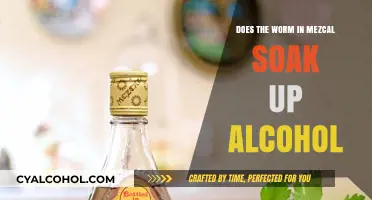Does the Worm in Mezcal Absorb Alcohol? Unraveling the Myth