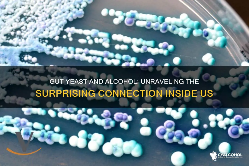 does the yeast in our guts create alcohol