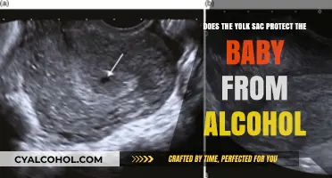 Alcohol and Pregnancy: Yolk Sac Protection
