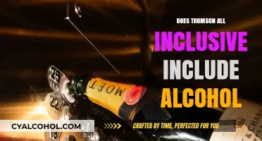 Thomson All-Inclusive: Alcohol Included or Extra Cost Explained