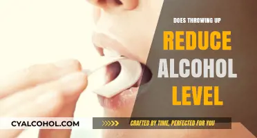 Does Vomiting Lower BAC? Debunking Myths About Alcohol Levels