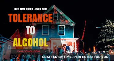 Does Time Sober Lower Alcohol Tolerance? Exploring the Science and Effects