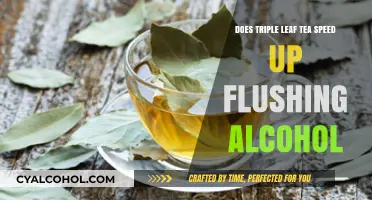 Can Triple Leaf Tea Accelerate Alcohol Detox and Flushing?