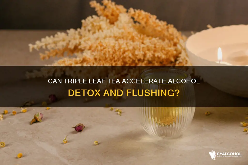 does triple leaf tea speed up flushing alcohol
