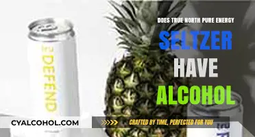 True North Pure Energy Seltzer: Alcohol-Free or Boozy Buzz?