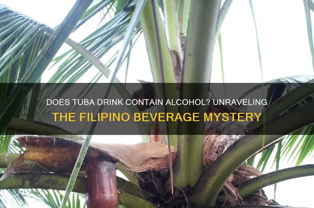 does tuba have alcohol