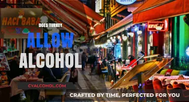 Exploring Turkey's Alcohol Policies: What Travelers Need to Know
