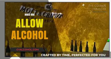 UAE Alcohol Laws: What Tourists and Residents Need to Know