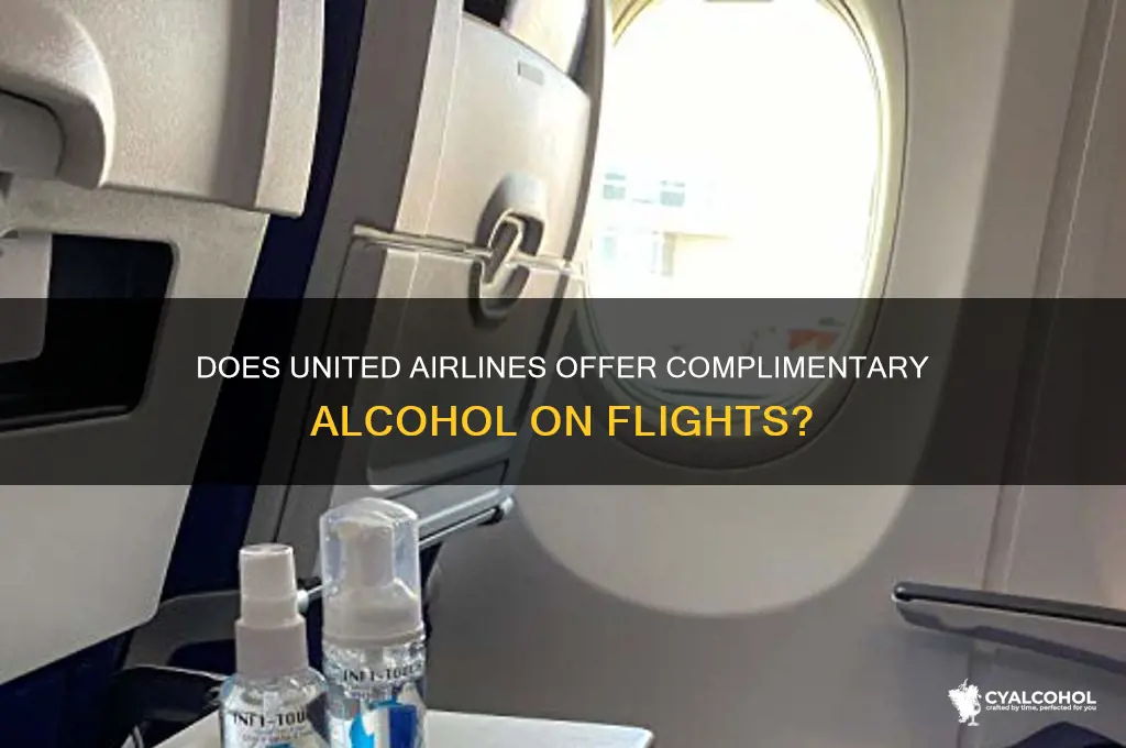 Does United Airlines Offer Complimentary Alcohol On Flights? | CyAlcohol