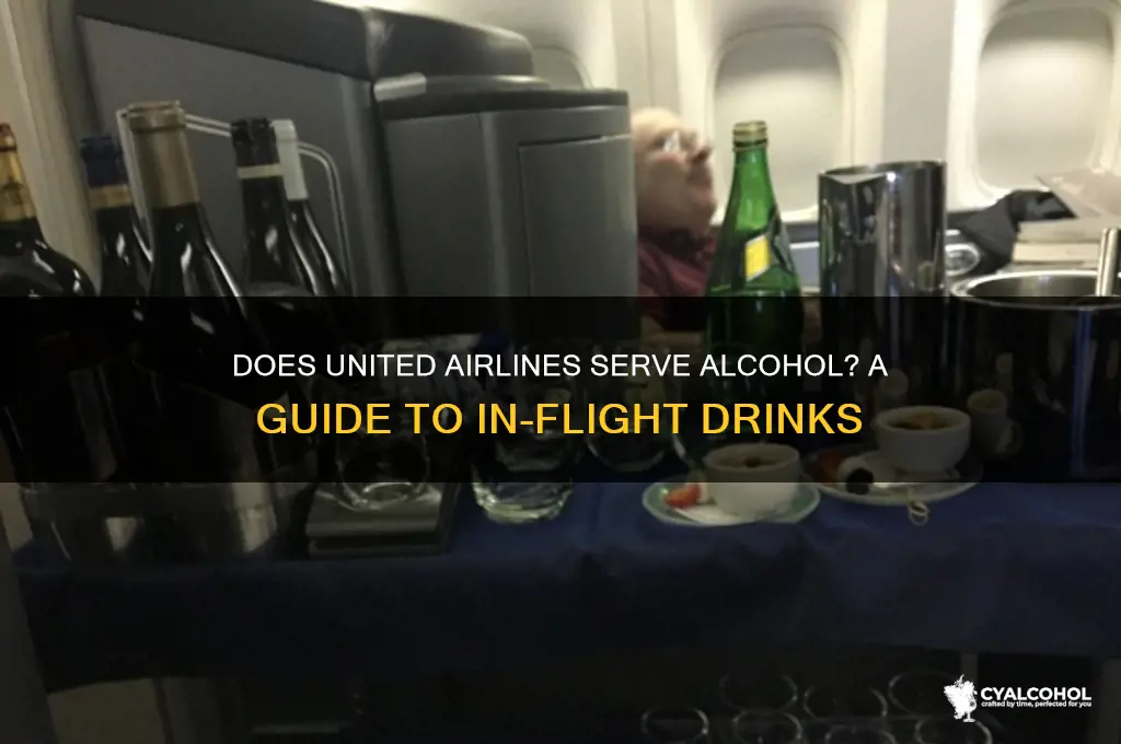 Does United Airlines Serve Alcohol? A Guide To In-Flight Drinks | CyAlcohol