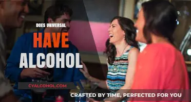 Does Universal Serve Alcohol? Exploring Drinks at the Theme Parks