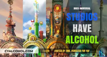 Sipping at Universal Studios: Alcohol Options and Where to Find Them