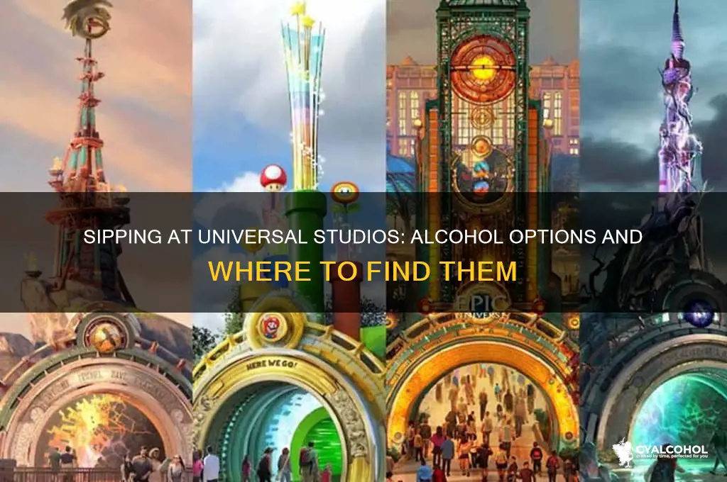 does universal studios have alcohol
