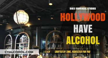 Sipping at Universal Studios Hollywood: Alcohol Options and Where to Find Them