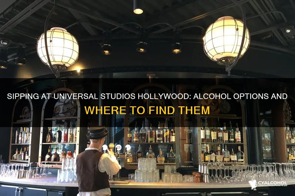 does universal studios hollywood have alcohol