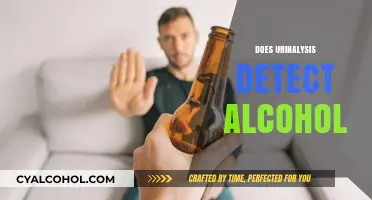 Can Urinalysis Detect Alcohol? Understanding Testing Methods and Accuracy