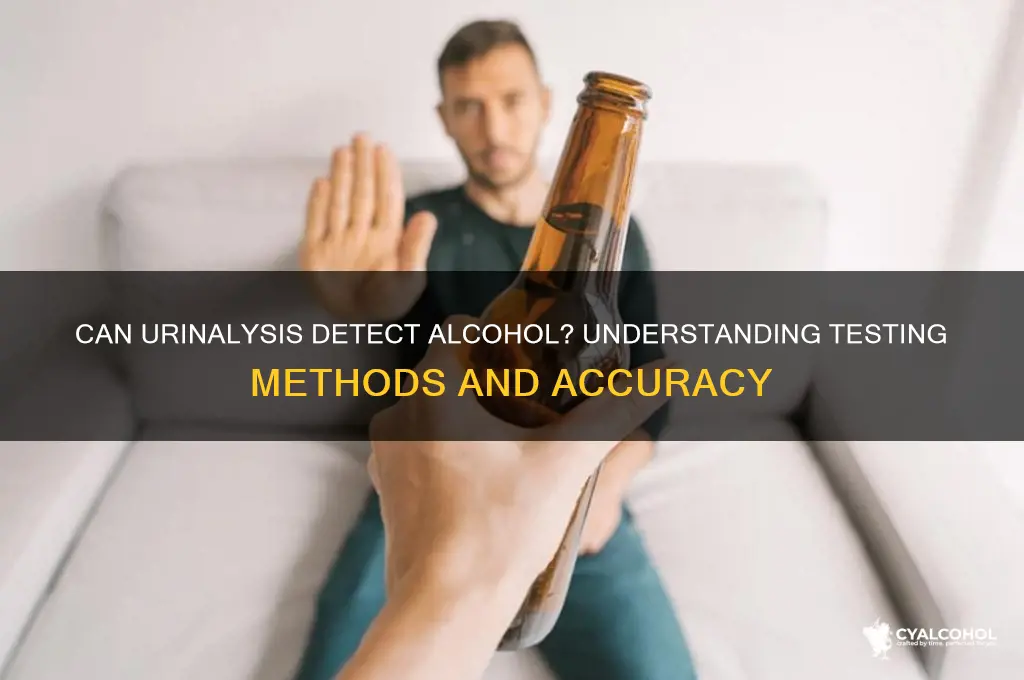 does urinalysis detect alcohol