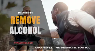 Does Urinating Remove Alcohol? Debunking the Myth and Facts