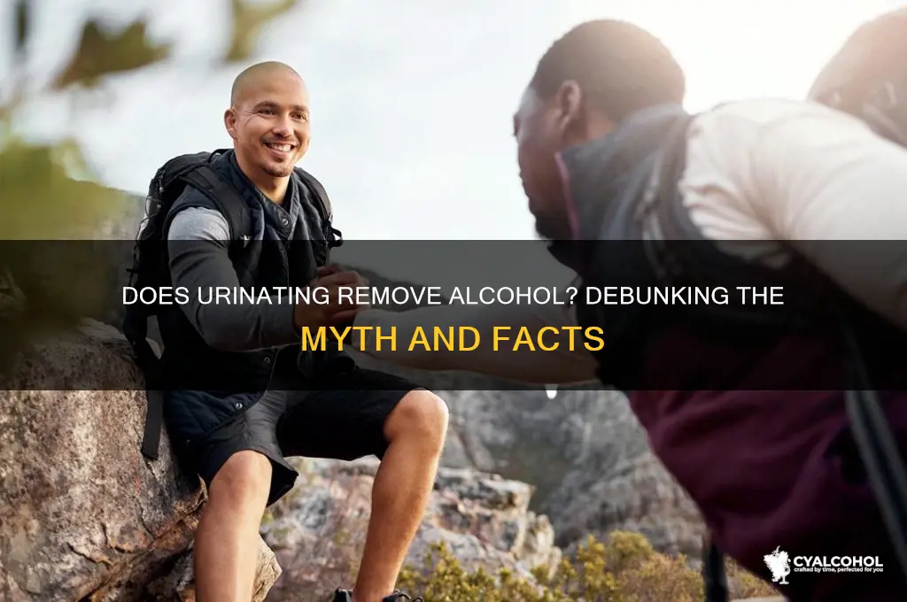 does urinating remove alcohol