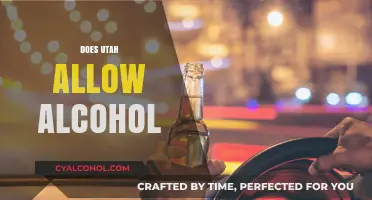 Utah's Alcohol Laws: What's Allowed and What's Restricted in 2023