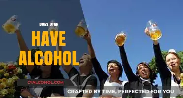 Utah's Alcohol Laws: What Visitors and Locals Need to Know