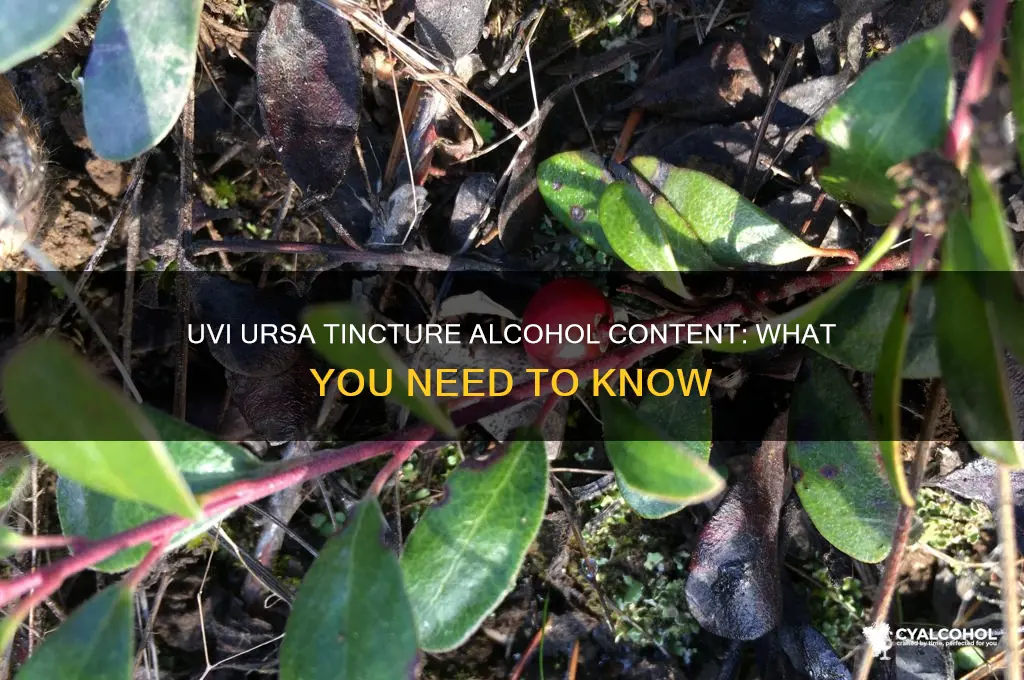 does uvi ursa tincture have alcohol in it
