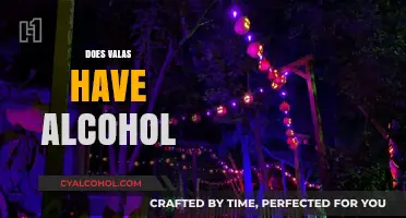 Does Valas Contain Alcohol? Unveiling the Truth Behind the Beverage