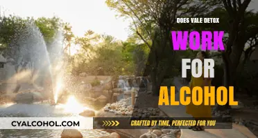 Does Vale Detox Effectively Aid Alcohol Withdrawal and Recovery?
