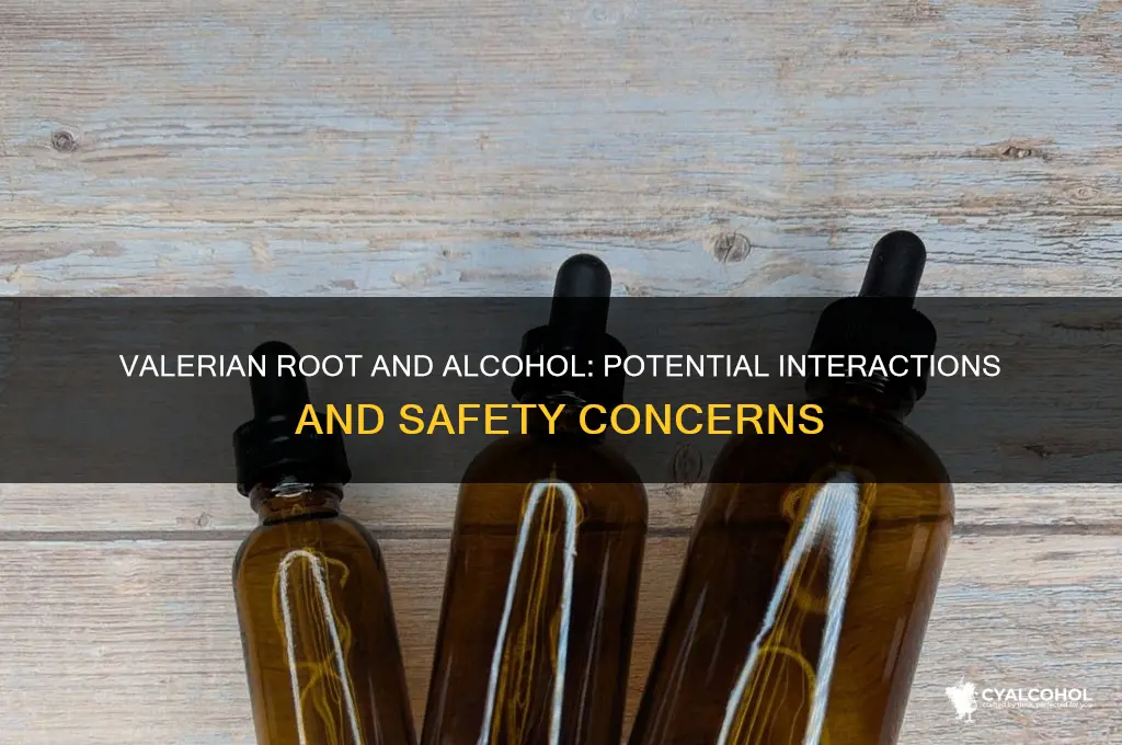 does valerian root interact with alcohol