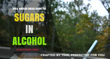 Can Vinegar Break Down Sugars in Alcohol? Exploring the Science