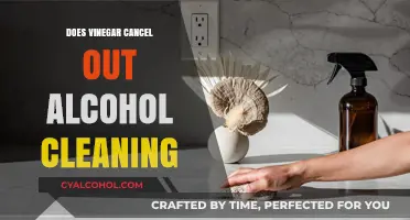 Vinegar vs. Alcohol: Which Cleaning Agent Truly Disinfects Surfaces?