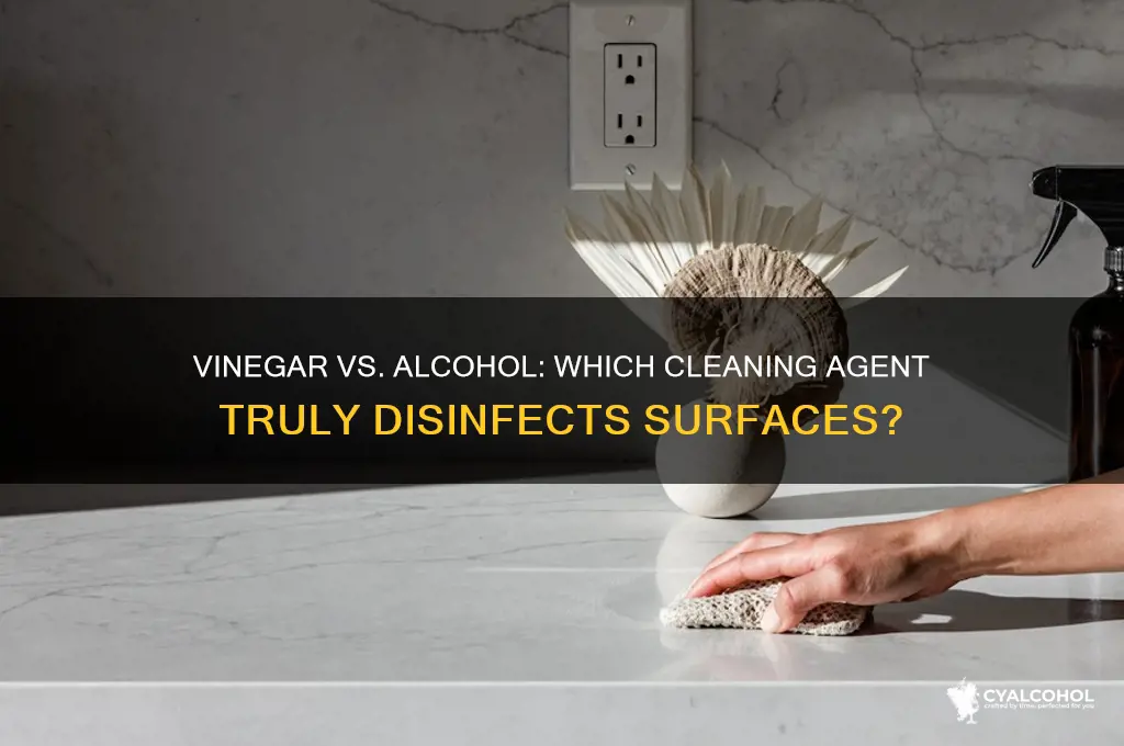 does vinegar cancel out alcohol cleaning