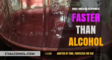 Vinegar vs. Alcohol: Which Evaporates Faster and Why?