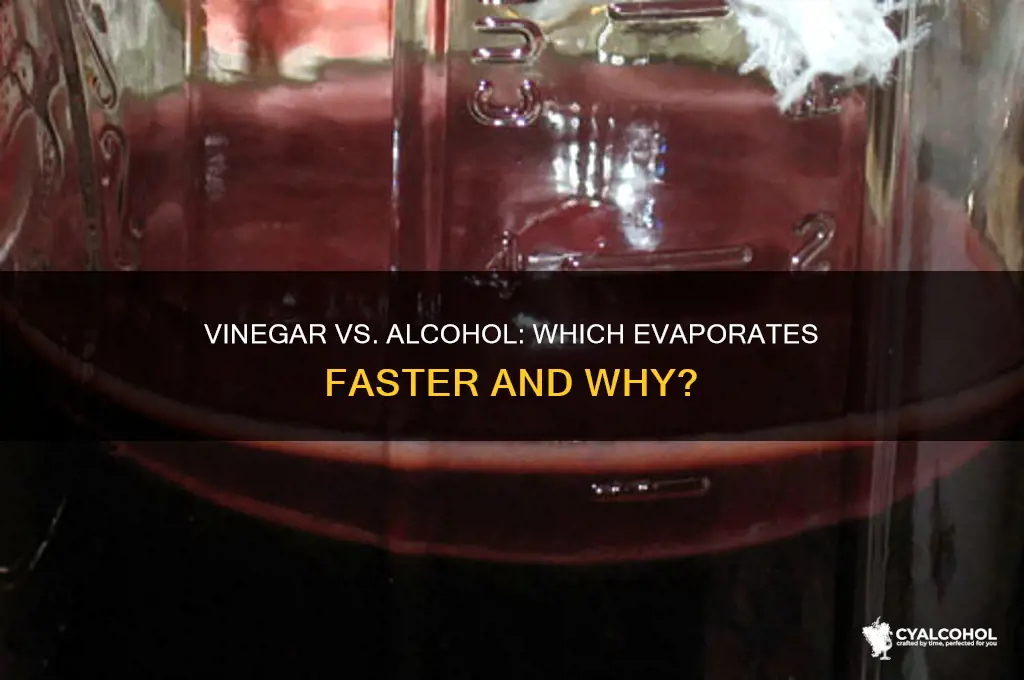 does vinegar evaporate faster than alcohol