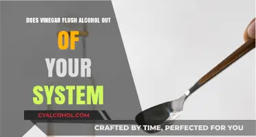 Can Vinegar Really Help Flush Alcohol from Your System?