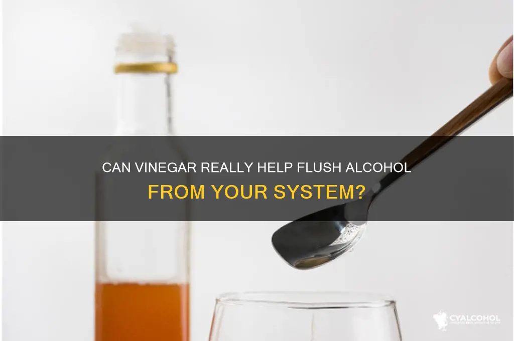 does vinegar flush alcohol out of your system