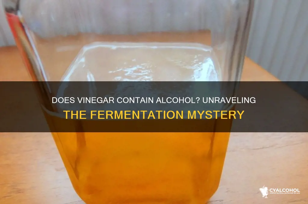 does vinegar has alcohol