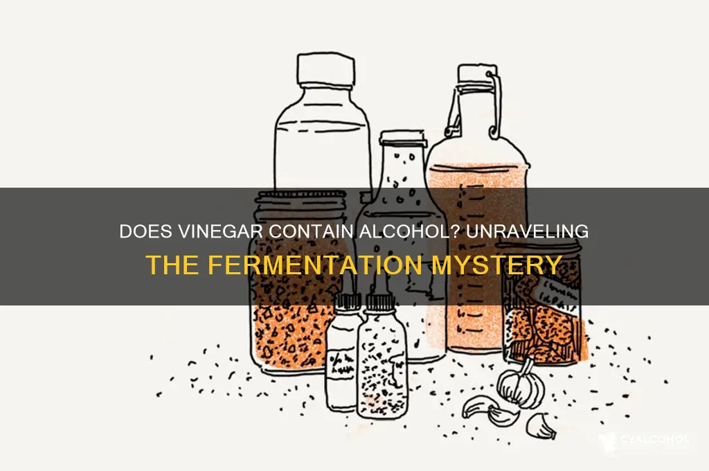 does vinegar have alcohol in it