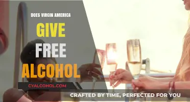 Virgin America's Alcohol Policy: Free Drinks or Extra Charges?