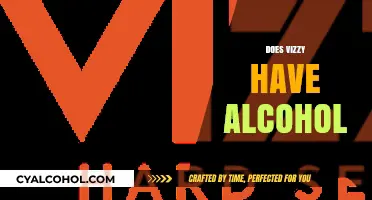 Does Vizzy Hard Seltzer Contain Alcohol? Unveiling the Truth