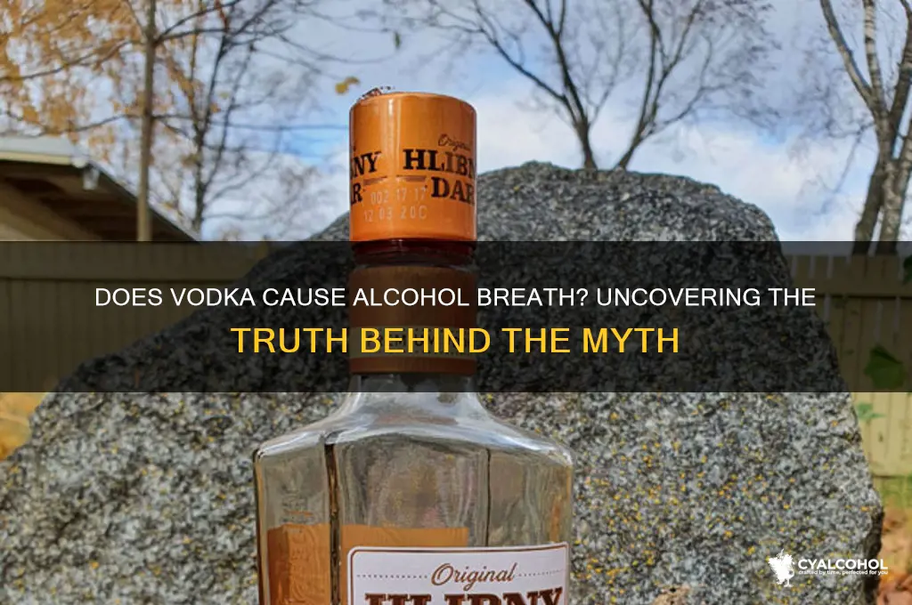 does vodka give you alcohol breath