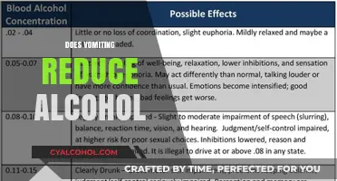 Vomiting and Alcohol: Does Throwing Up Reduce Blood Alcohol Levels?
