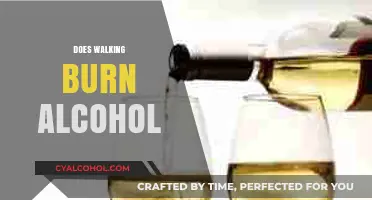 Walking to Burn Alcohol: Fact or Fiction? Uncover the Truth