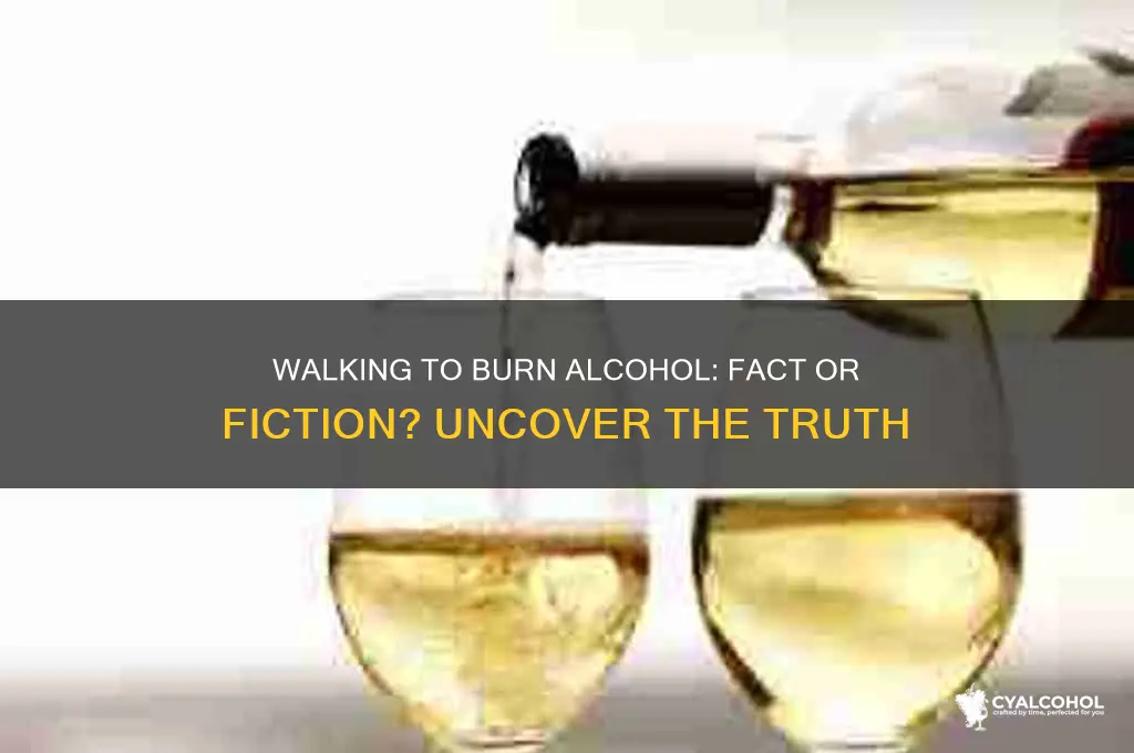 does walking burn alcohol