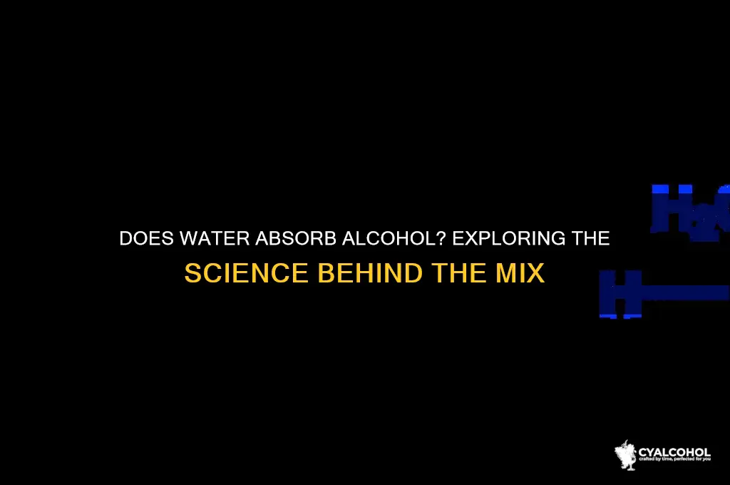 does water absorb alcohol