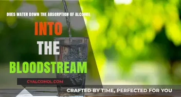 How Water Affects Alcohol Absorption in Your Body