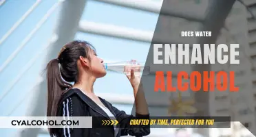 Does Water Enhance Alcohol Effects? Exploring the Science and Myths