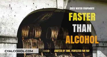Water vs. Alcohol: Which Evaporates Faster and Why?