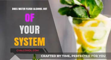Does Water Really Flush Alcohol Out of Your System? Facts Revealed